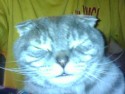 Avatar photo