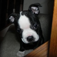 Avatar photo