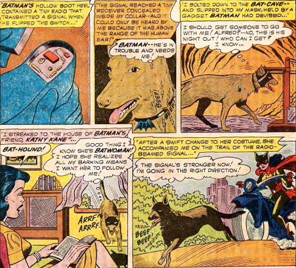 DC Histories: Ace the Bat-Hound